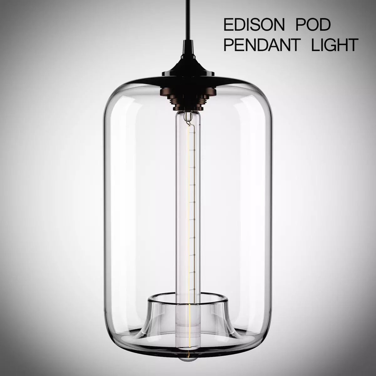 Edison Pod Pendant Light  3D model_0