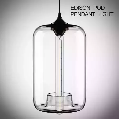 Edison Pod Pendant Light  3D model