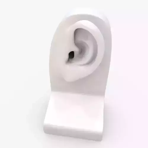 Ear 3D model Low-poly 3D model