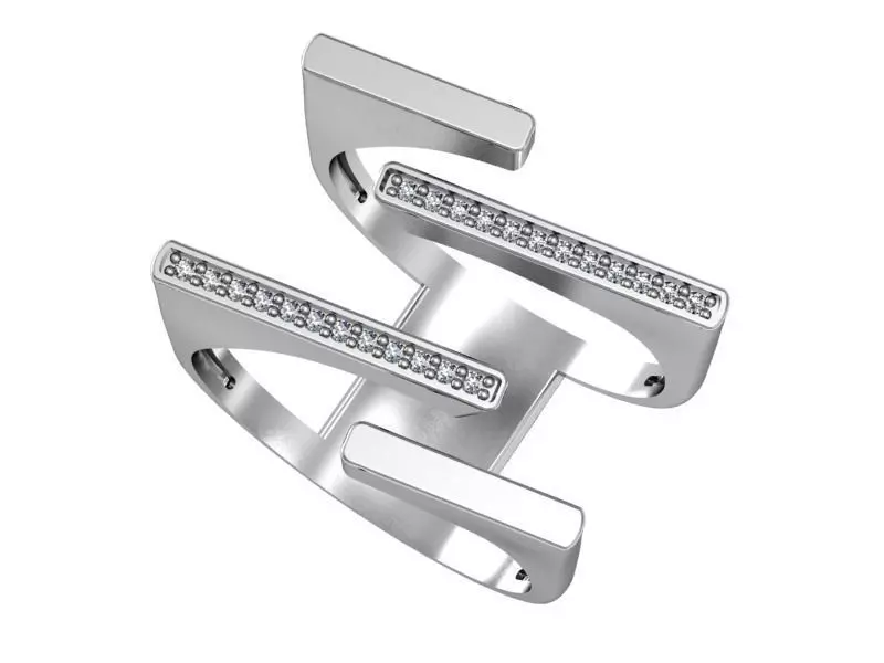 Ring Geometry 3D print model_0