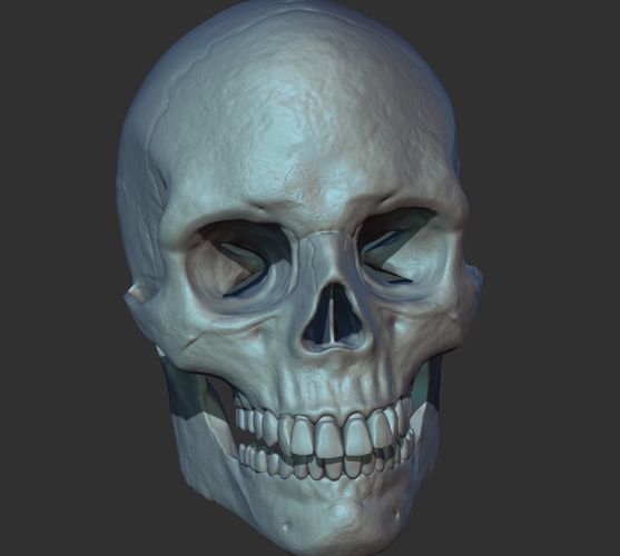 Human Skull 3d ready to Print 3D print model