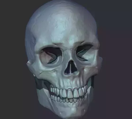 Human Skull 3d ready to Print 3D print model