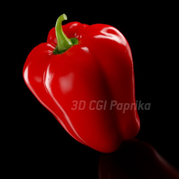 3D CGI Paprika 3D model_4