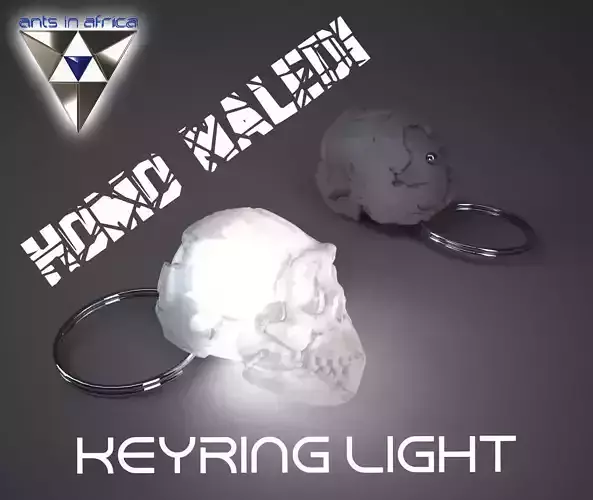 Homo Naledi Skull key-ring light