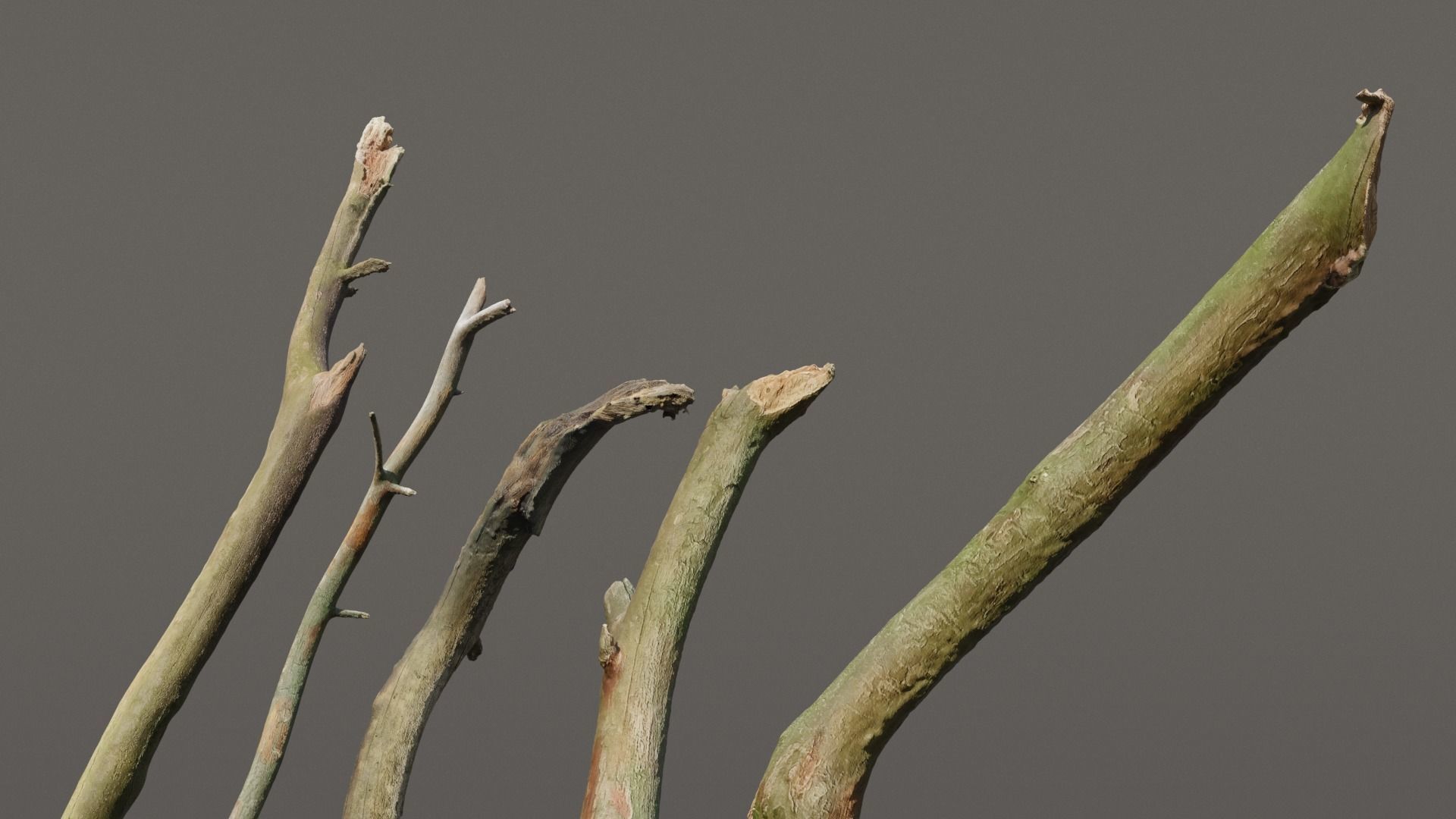 5 Sticks Pack 1 Photoscanned  Low-poly 3D model_1