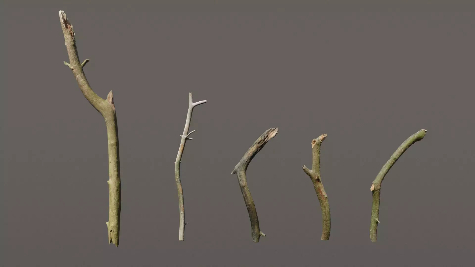 5 Sticks Pack 1 Photoscanned  Low-poly 3D model_0