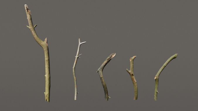 5 Sticks Pack 1 Photoscanned  Low-poly 3D model