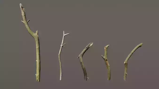 5 Sticks Pack 1 Photoscanned 