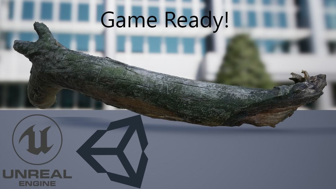 5 Sticks Pack 1 Photoscanned  Low-poly 3D model_4