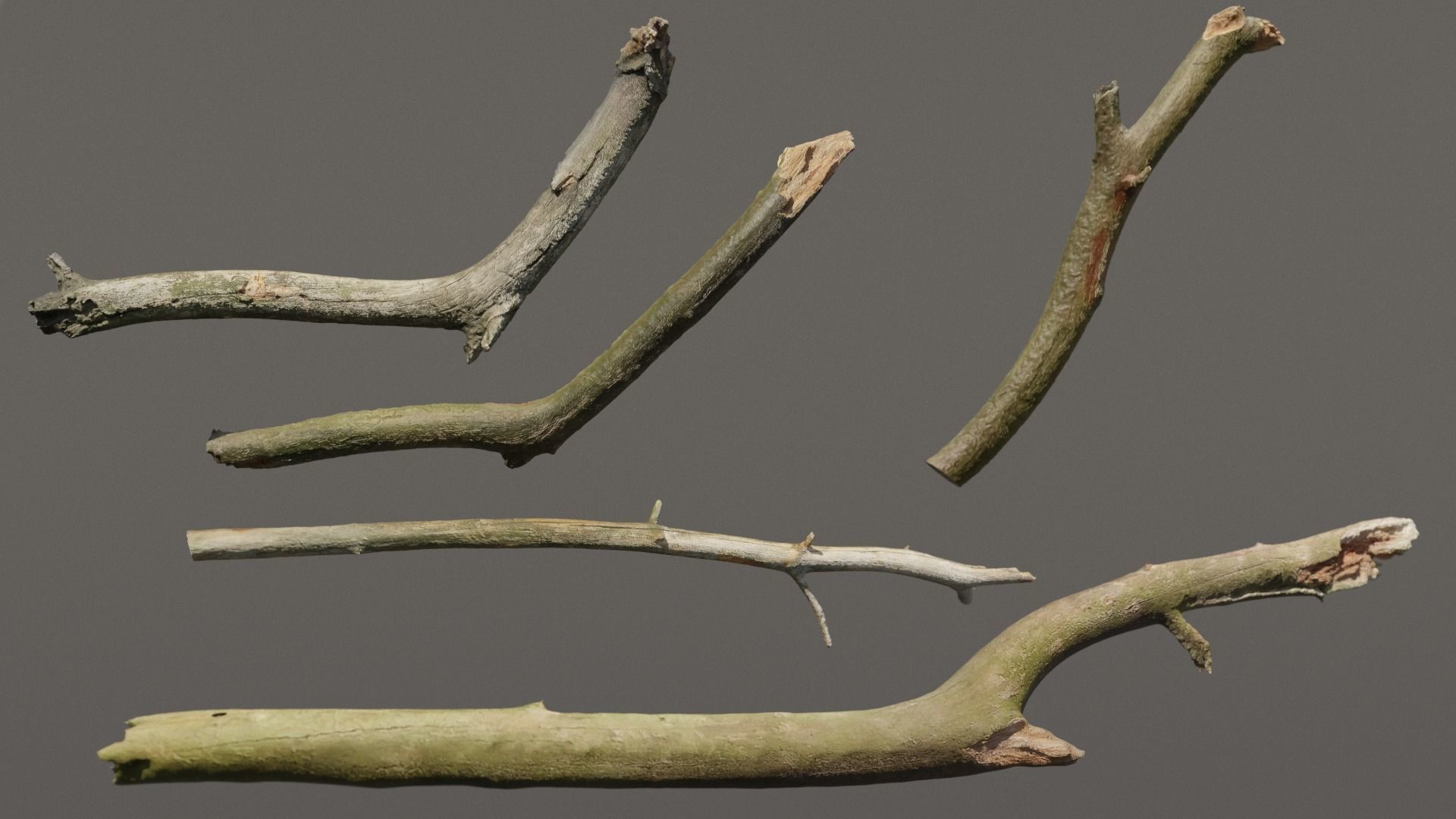 5 Sticks Pack 1 Photoscanned  Low-poly 3D model_3