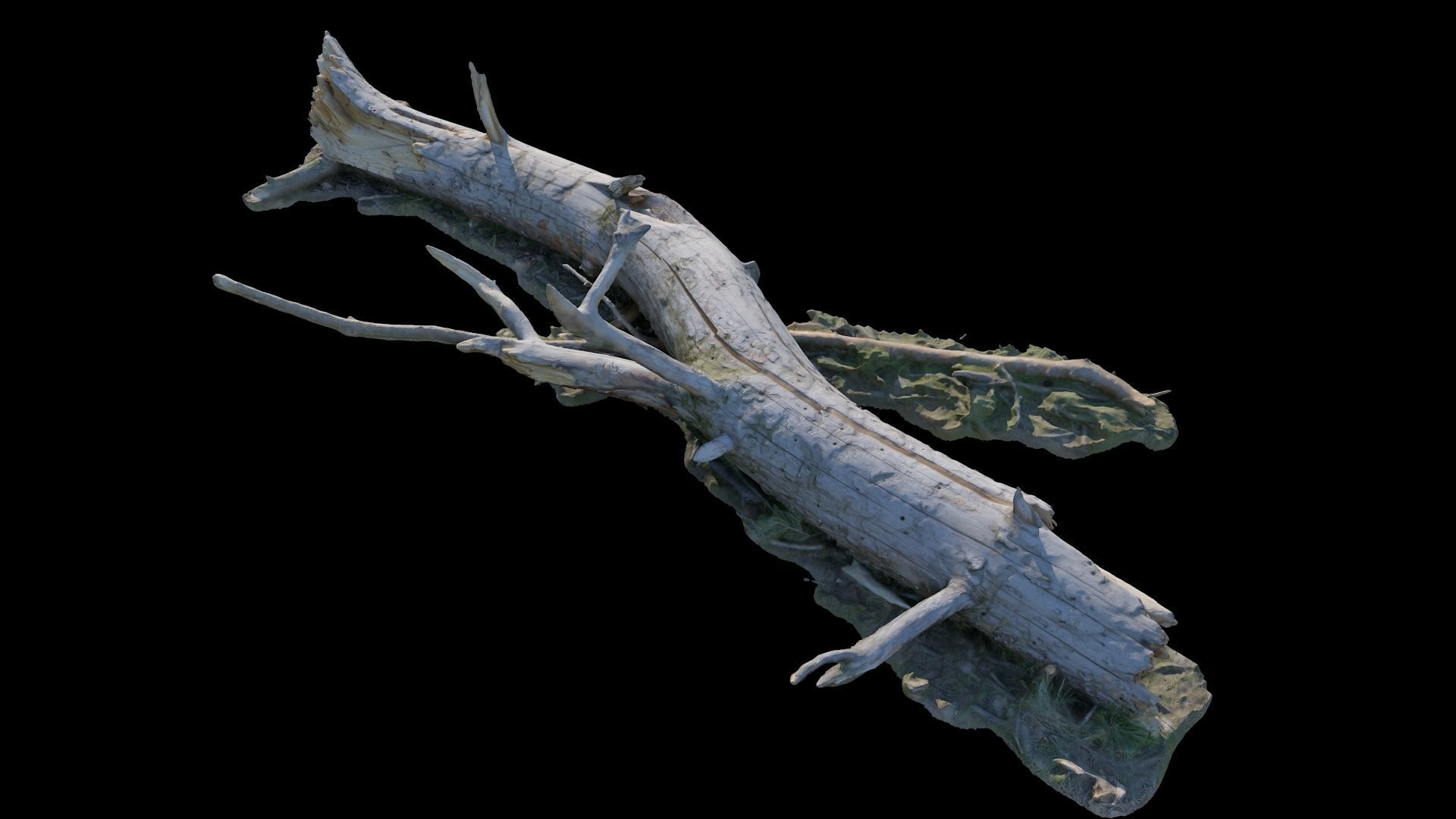  Old log 3D model_5