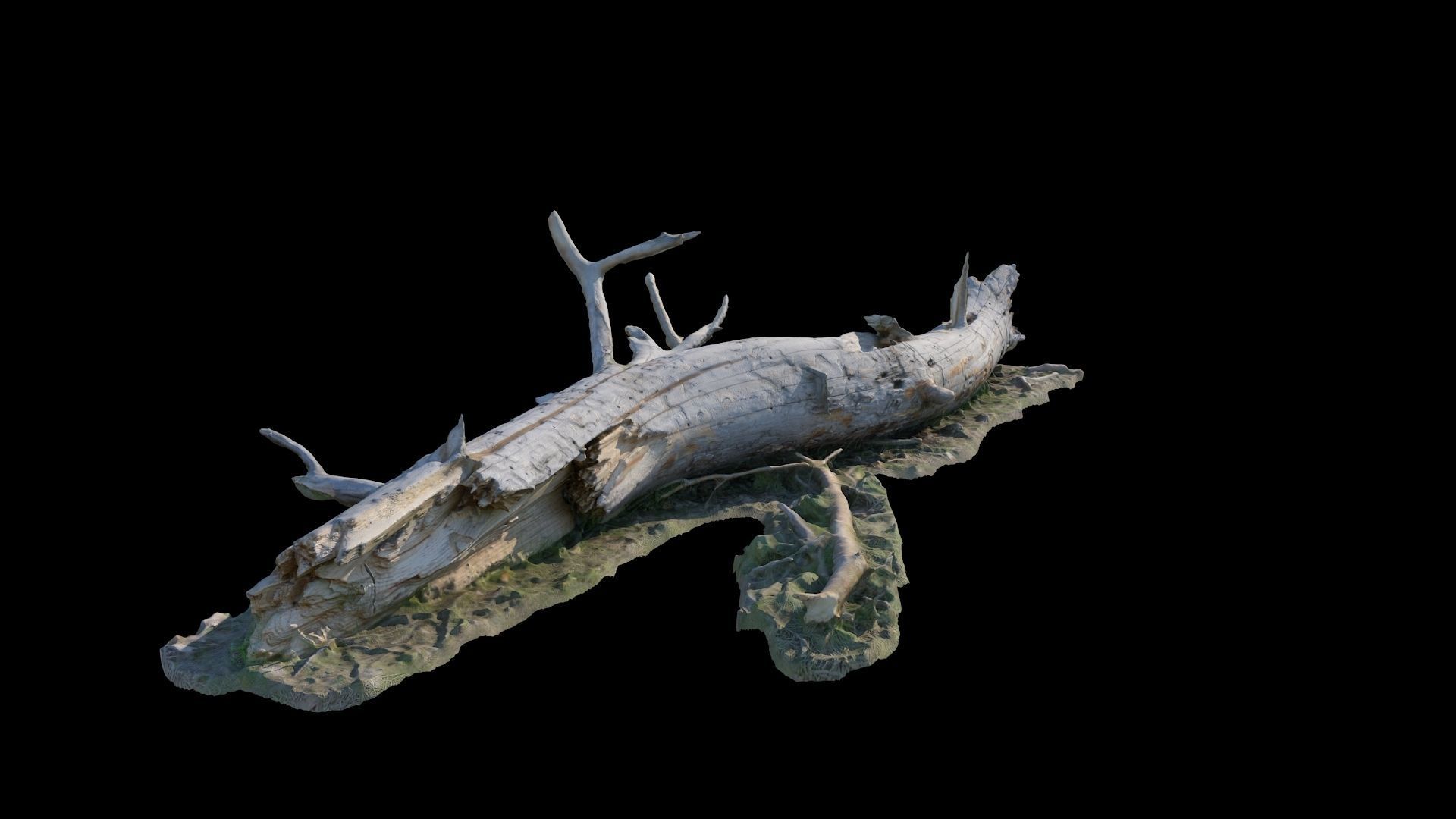  Old log 3D model_7