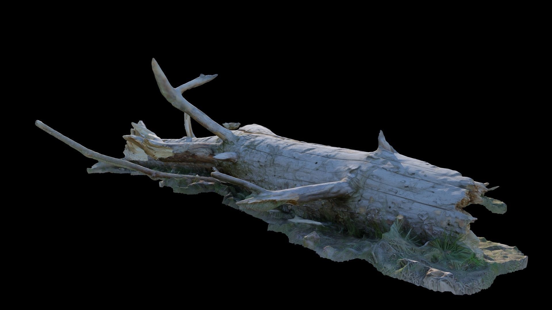  Old log 3D model_8