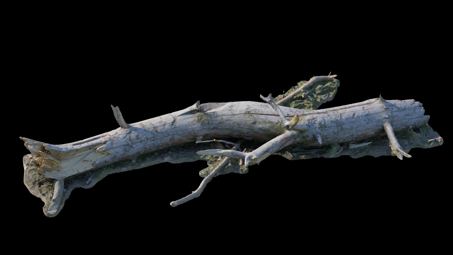  Old log 3D model_3