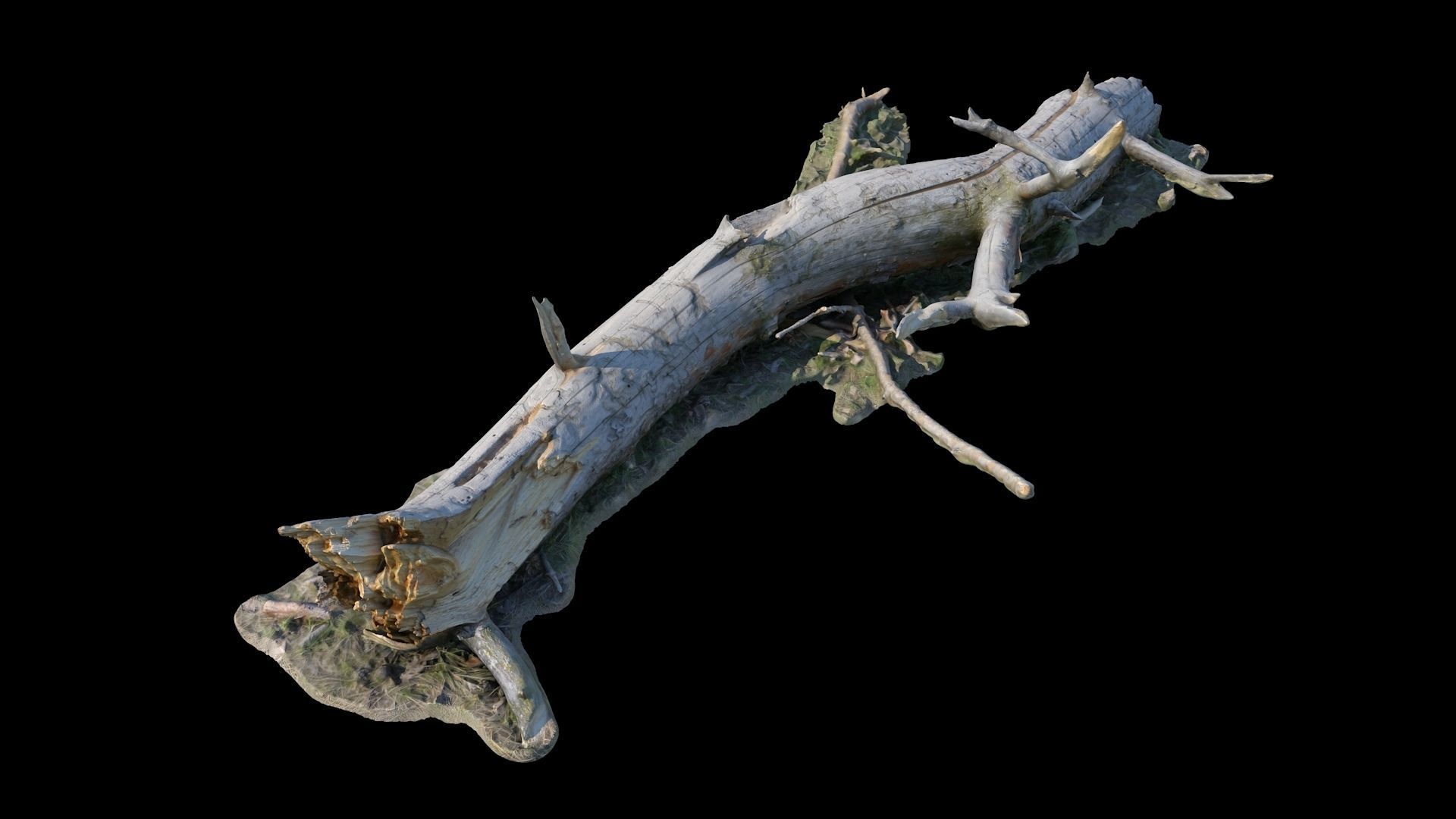  Old log 3D model_2