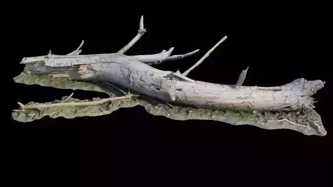  Old log 3D model