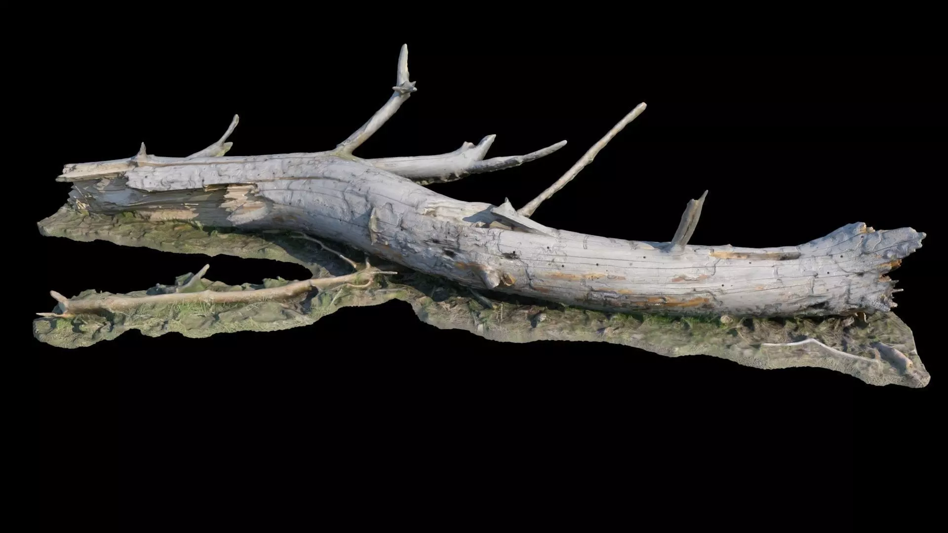  Old log 3D model_0