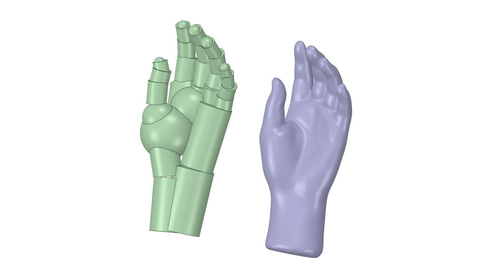 Reverse Engineered Hand model using simple features Free 3D model_4