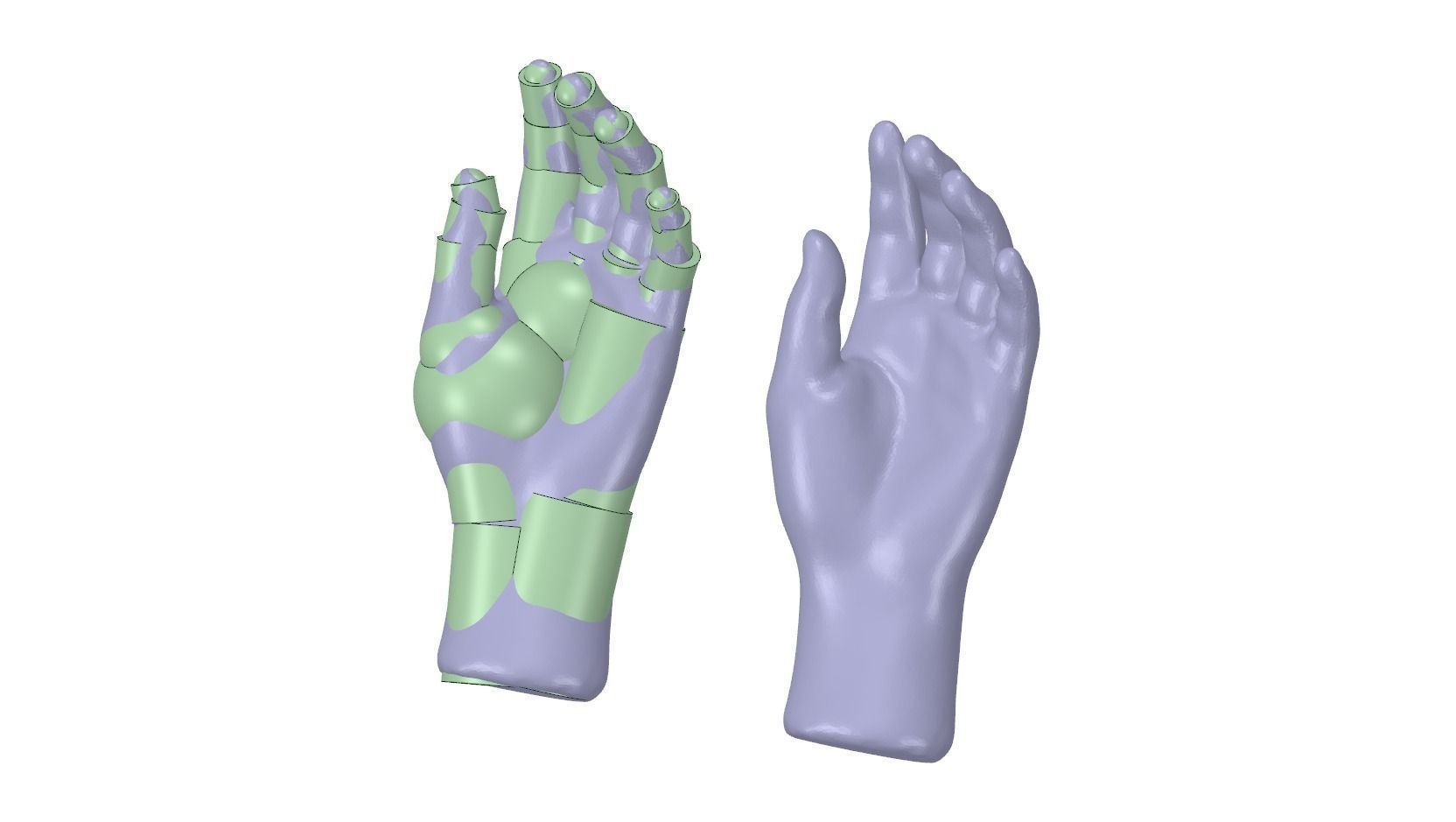 Reverse Engineered Hand model using simple features Free 3D model_3