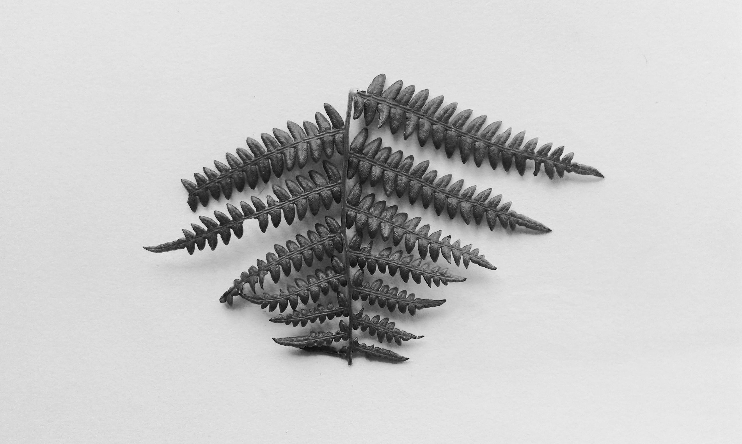 Fern necklace 3D print model_2