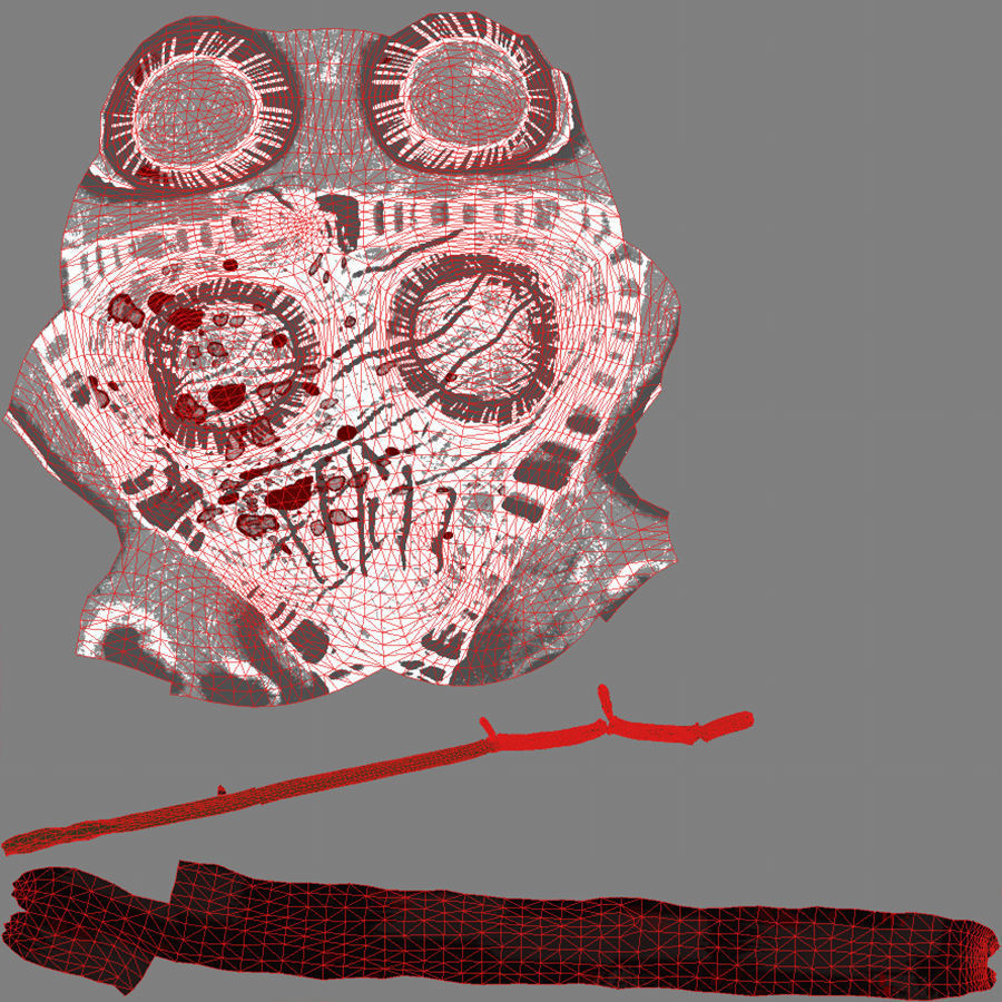 Scary Skulls of Africa 3D model_18