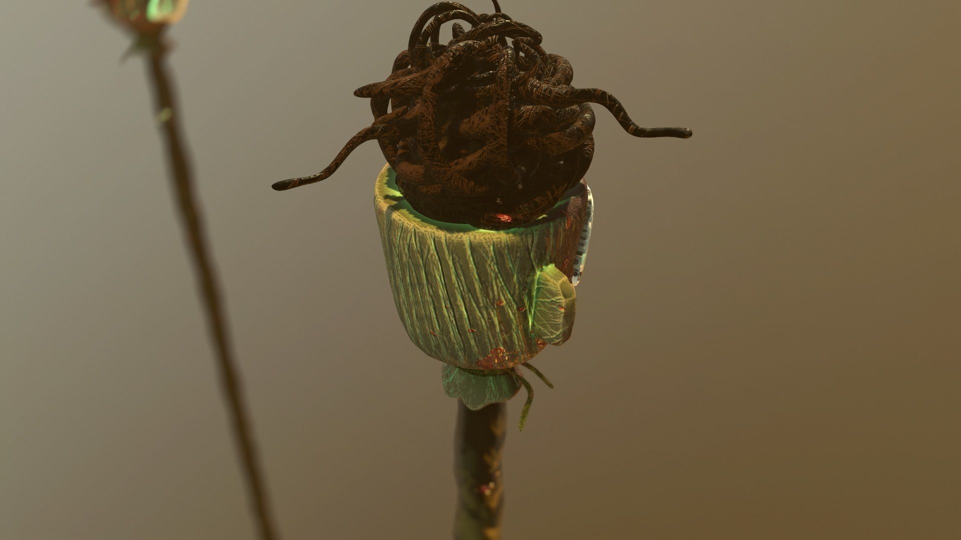 Scary Skulls of Africa 3D model_7