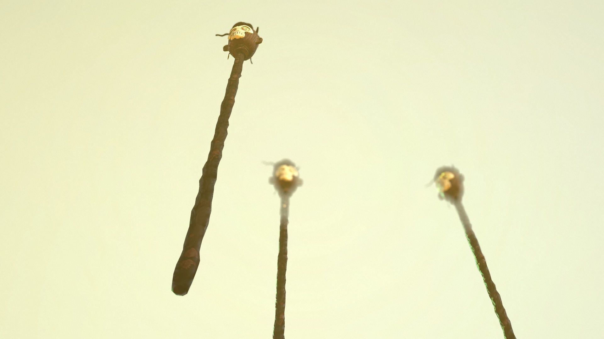 Scary Skulls of Africa 3D model_13