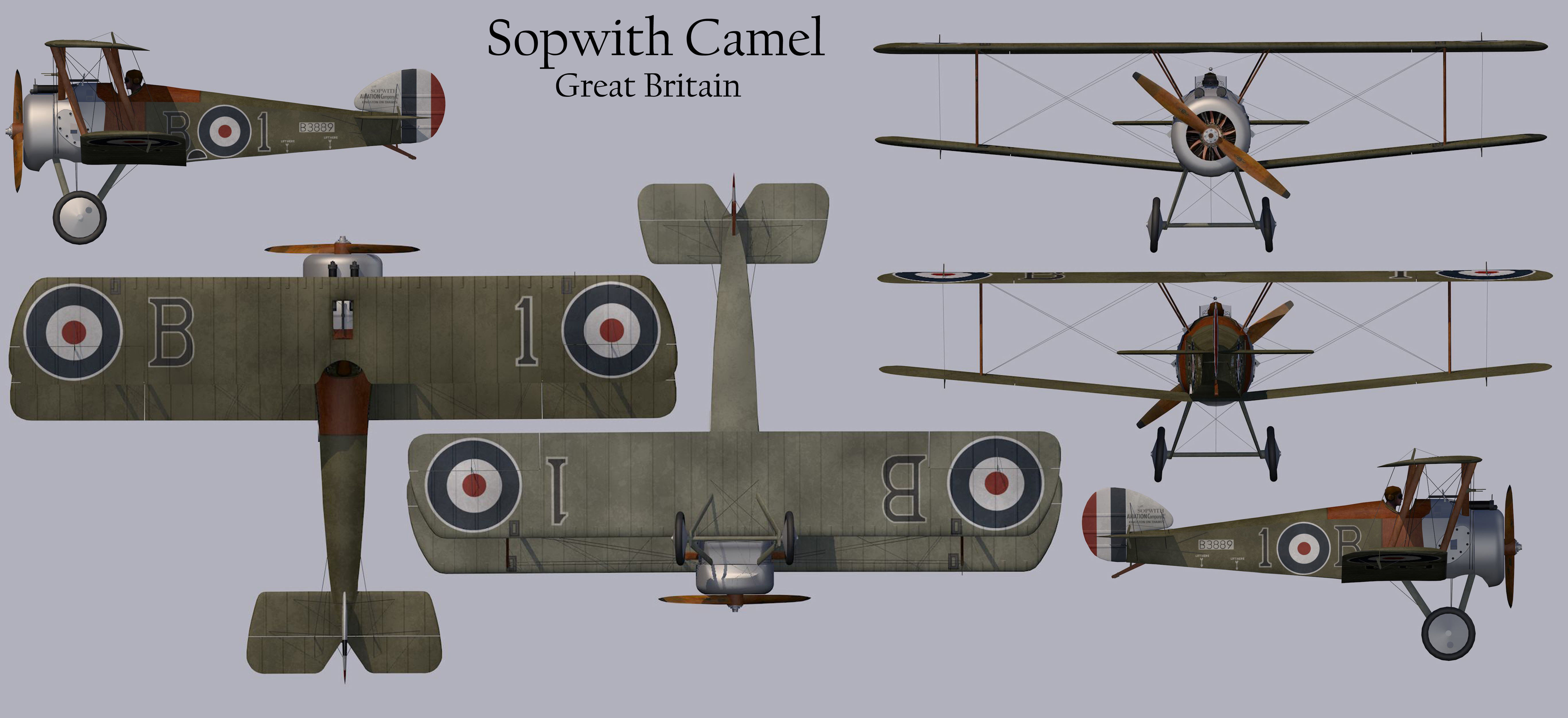 Sopwith Camel 3D model_11