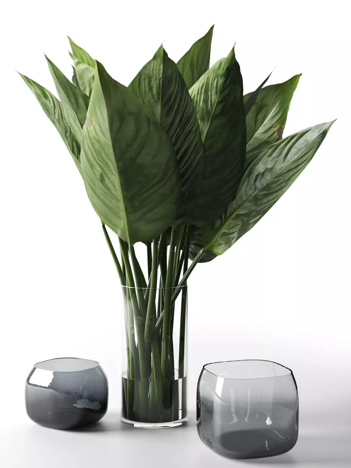 Glass Vases with Leaves Free 3D model