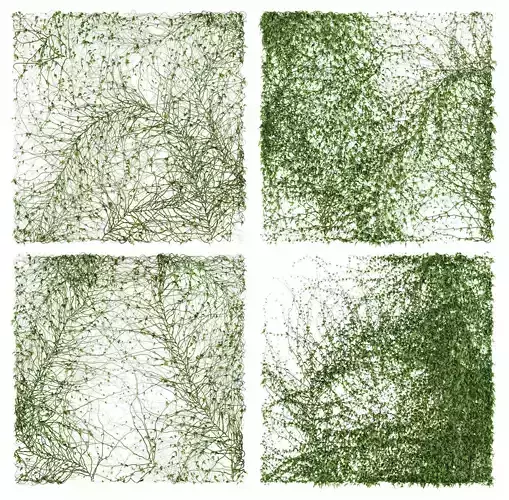 Ivy Wall 4 models v2