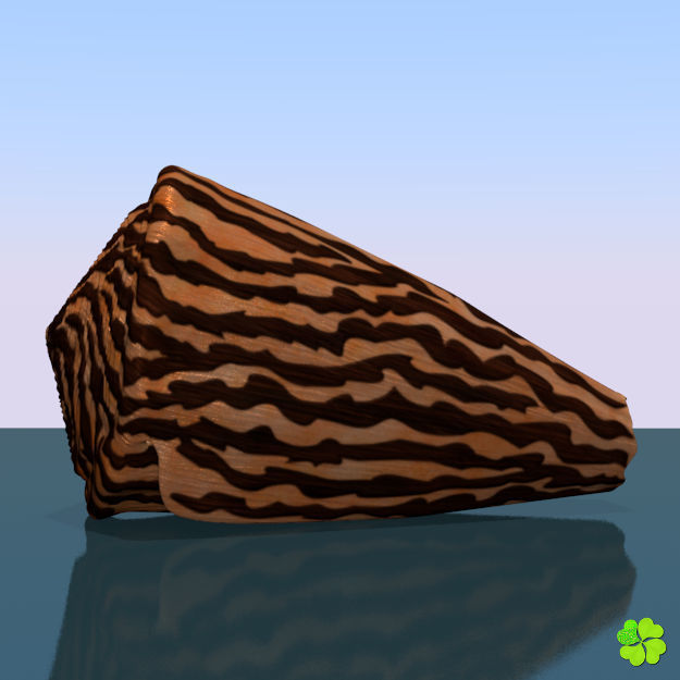 Conus shell low poly Low-poly 3D model_49