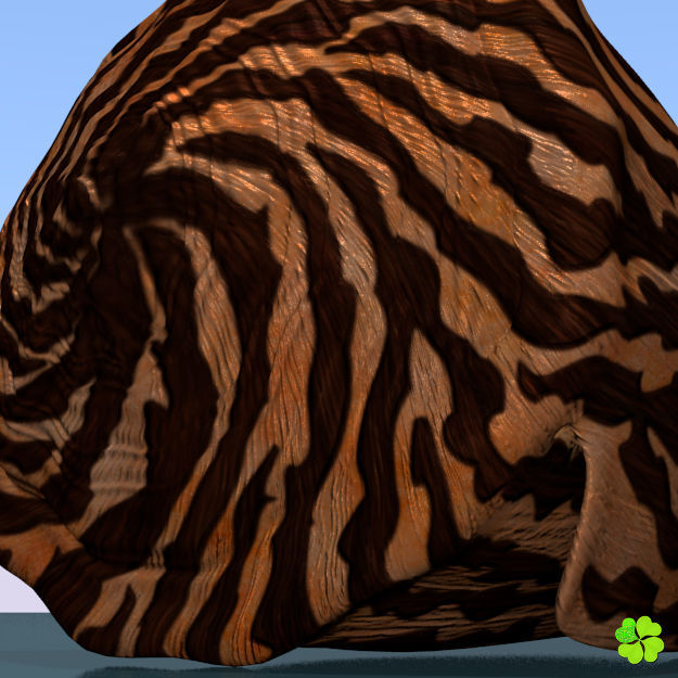 Conus shell low poly Low-poly 3D model_71