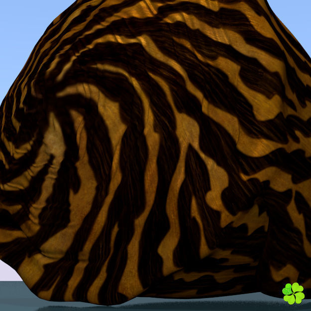 Conus shell low poly Low-poly 3D model_73
