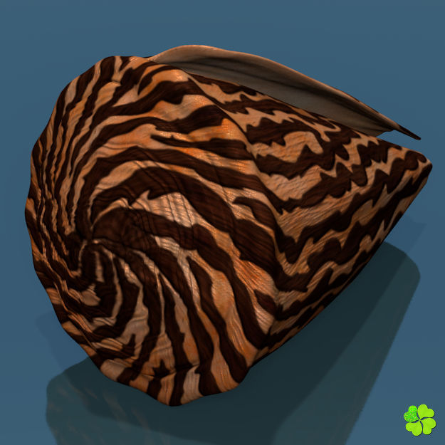 Conus shell low poly Low-poly 3D model_26