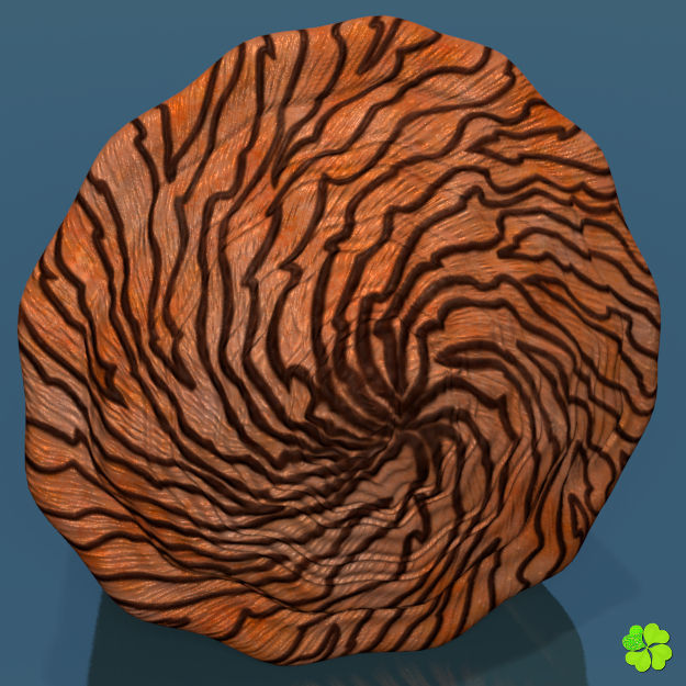 Conus shell low poly Low-poly 3D model_65
