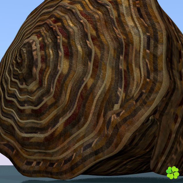 Conus shell low poly Low-poly 3D model_69