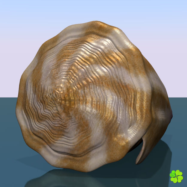 Conus shell low poly Low-poly 3D model_33