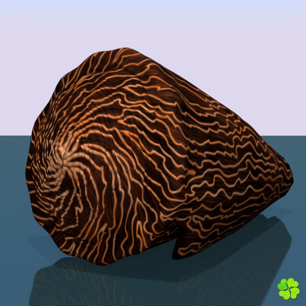 Conus shell low poly Low-poly 3D model_44