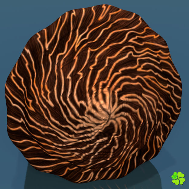 Conus shell low poly Low-poly 3D model_67