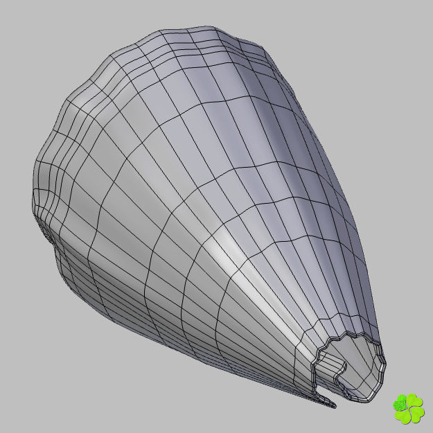 Conus shell low poly Low-poly 3D model_87