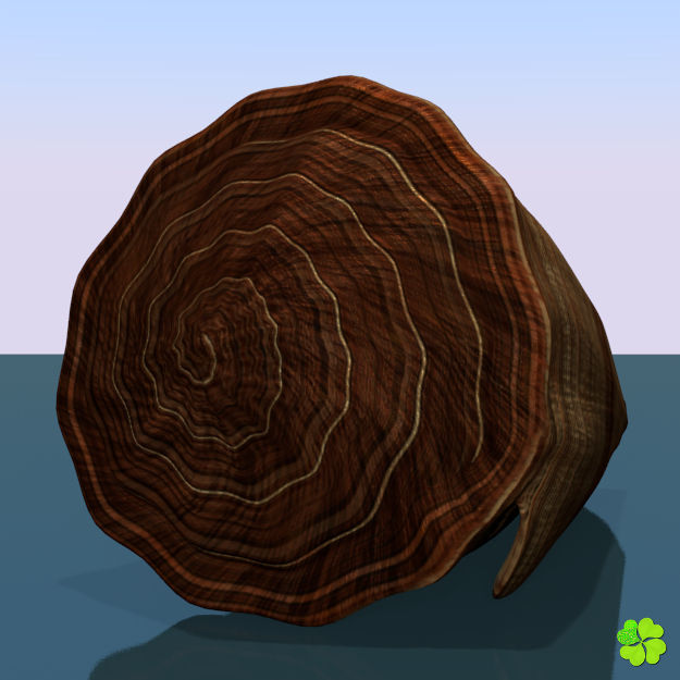 Conus shell low poly Low-poly 3D model_31