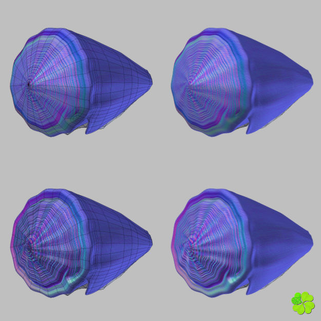 Conus shell low poly Low-poly 3D model_94