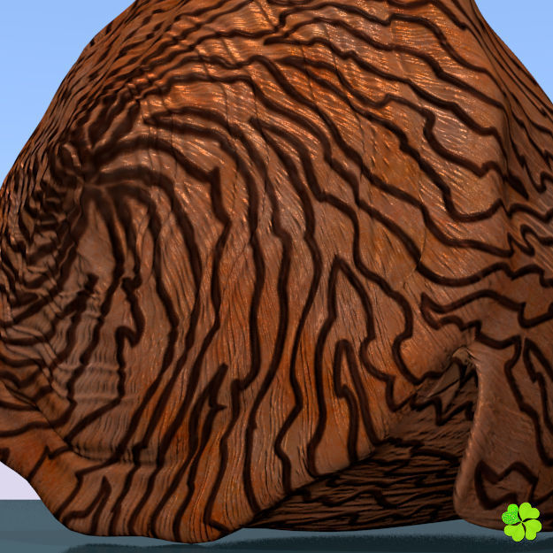Conus shell low poly Low-poly 3D model_72
