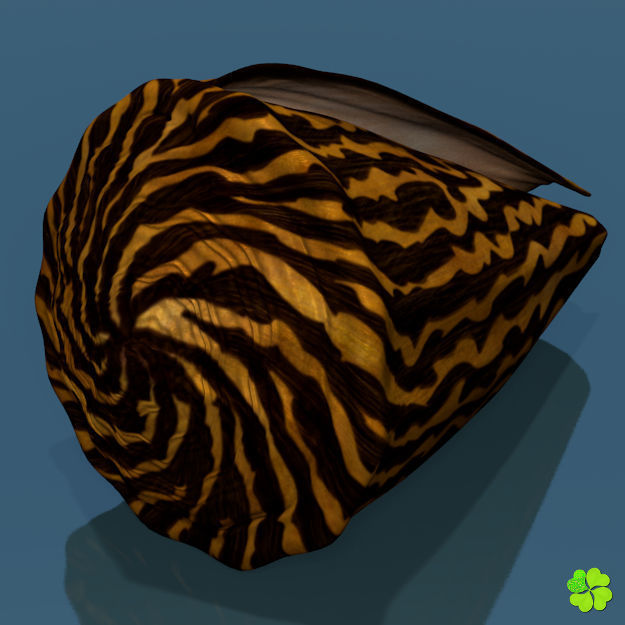 Conus shell low poly Low-poly 3D model_28