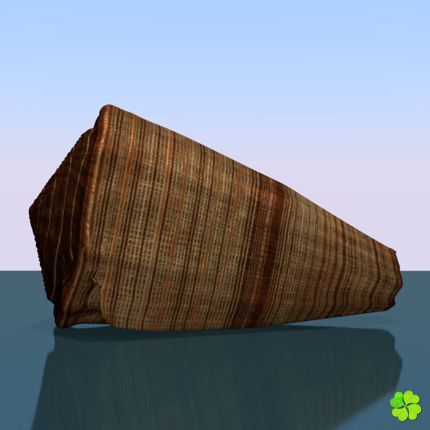 Conus shell low poly Low-poly 3D model_46
