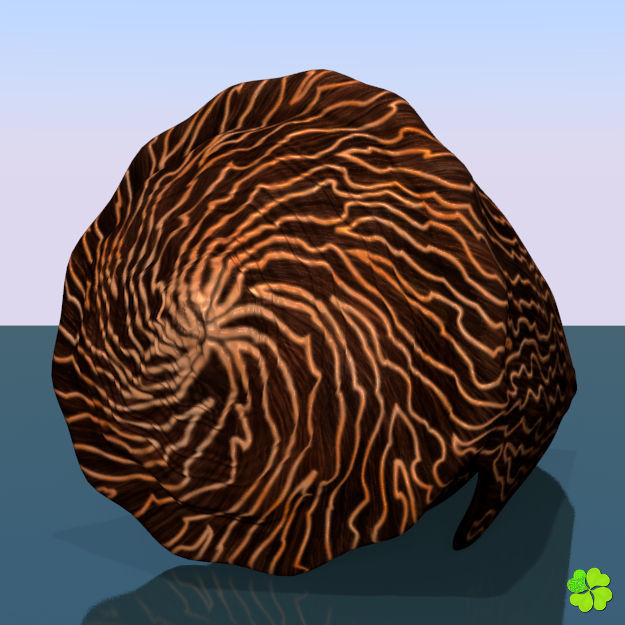 Conus shell low poly Low-poly 3D model_37