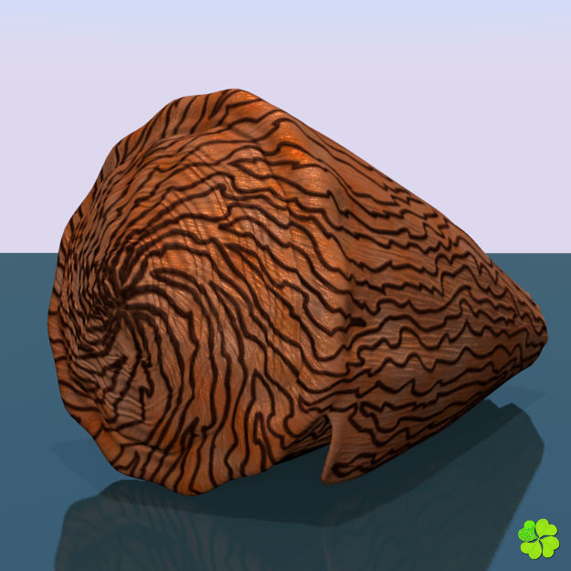 Conus shell low poly Low-poly 3D model_42