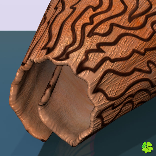 Conus shell low poly Low-poly 3D model_80