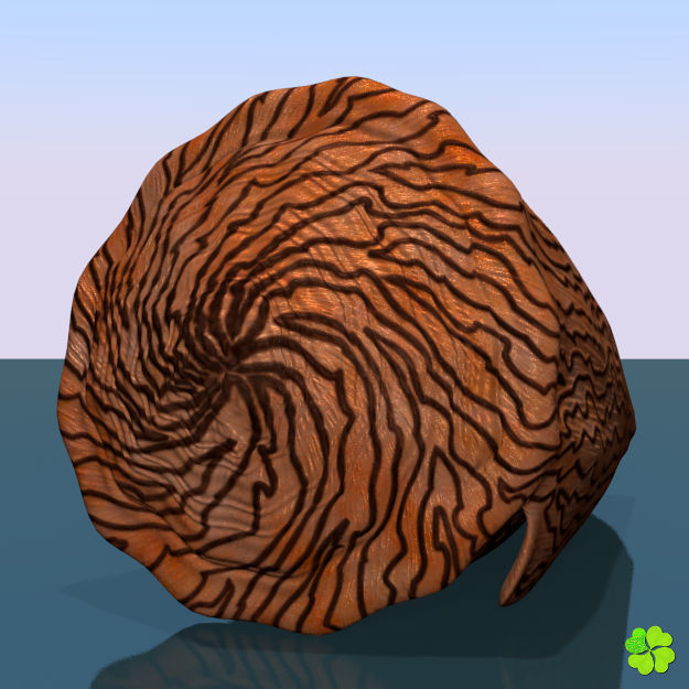 Conus shell low poly Low-poly 3D model_35