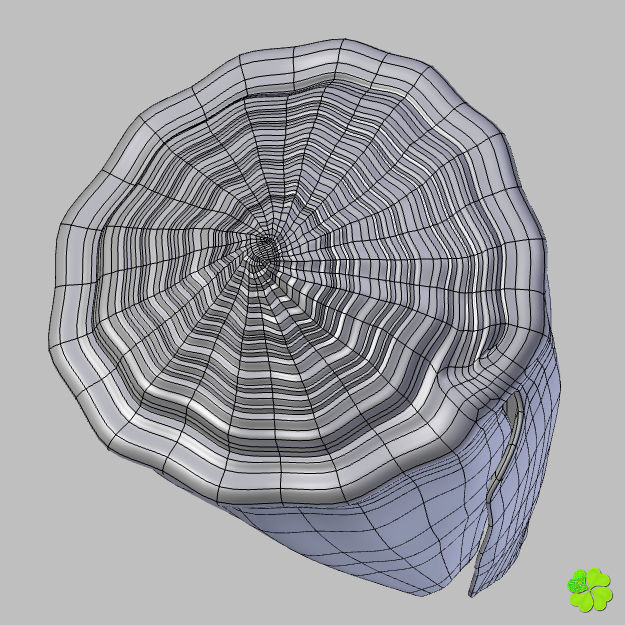Conus shell low poly Low-poly 3D model_85